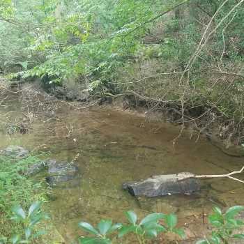 15 +/- ac -St. Clair- Fall Branch Creek Tract