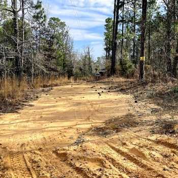 10 acre estate lot with multiple home sites - 138 Pond Rd Buena Vista, GA