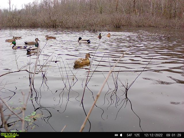 Colglazier Branded13.jpg