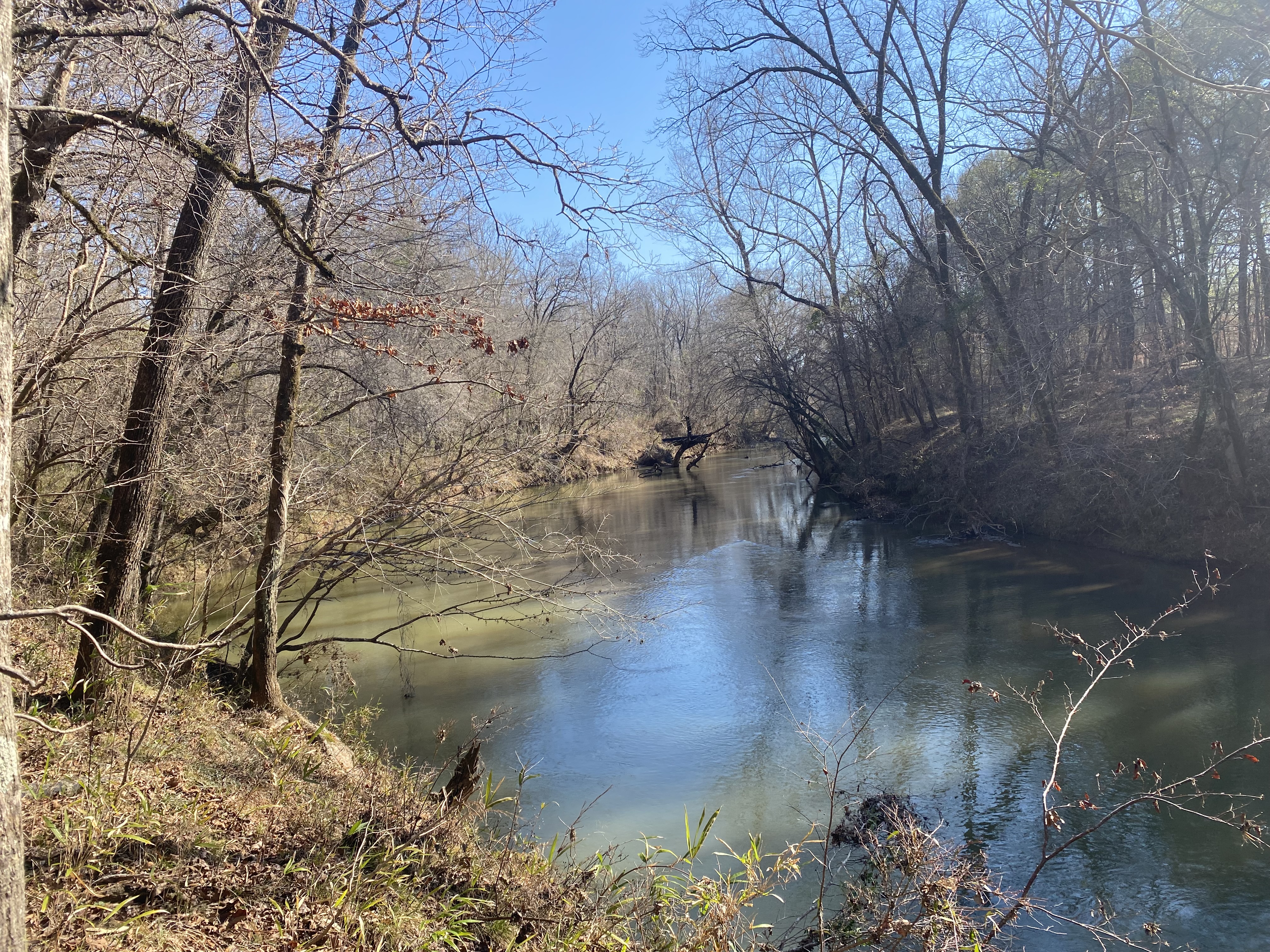 DJI_0173.JPG