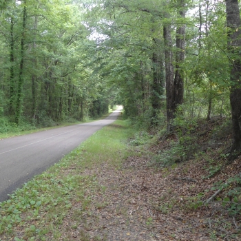 36 acre Lauderdale- Lizelia Road Property