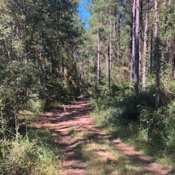 160 Ac - Greene County, MS -Green Tract