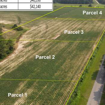 Ammons Pond Parcel 3 - 5.7+/- acres - Dale County