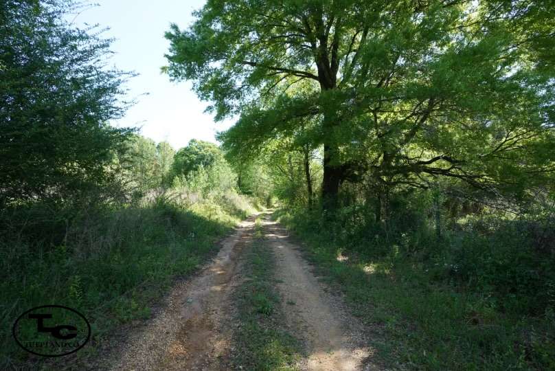 Horsehead Rd-8.png