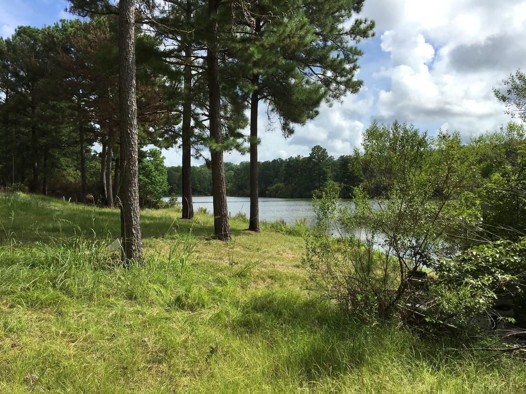 McLelland - 205 acre topo.jpg