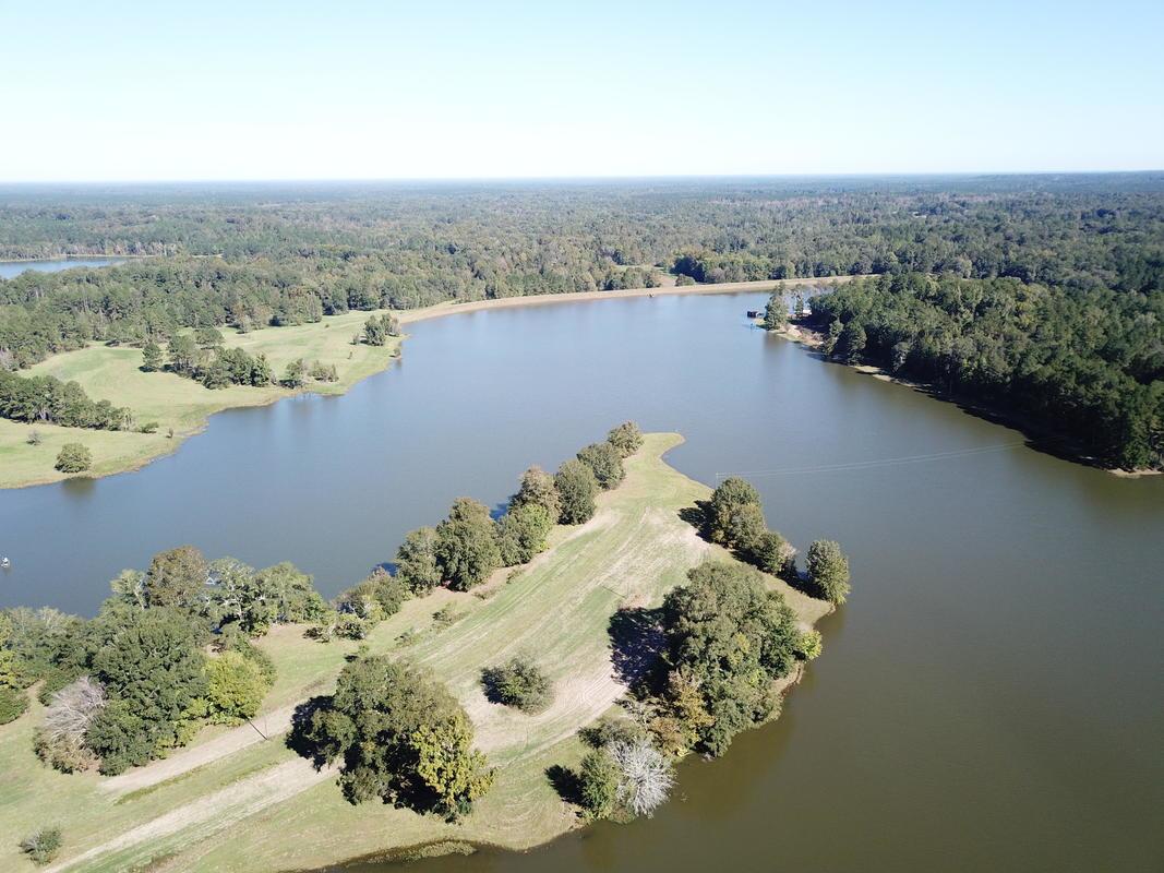 Bughall Plantation aerial.jpg