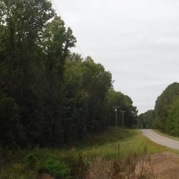 New Hope Road-37ac-Kemper Co., MS