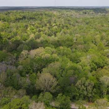 51 acres - Henry County - Abbie Creek Tract