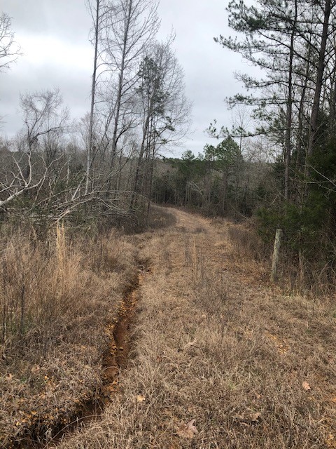 Saulsbury Tract - Zoomed In.jpg