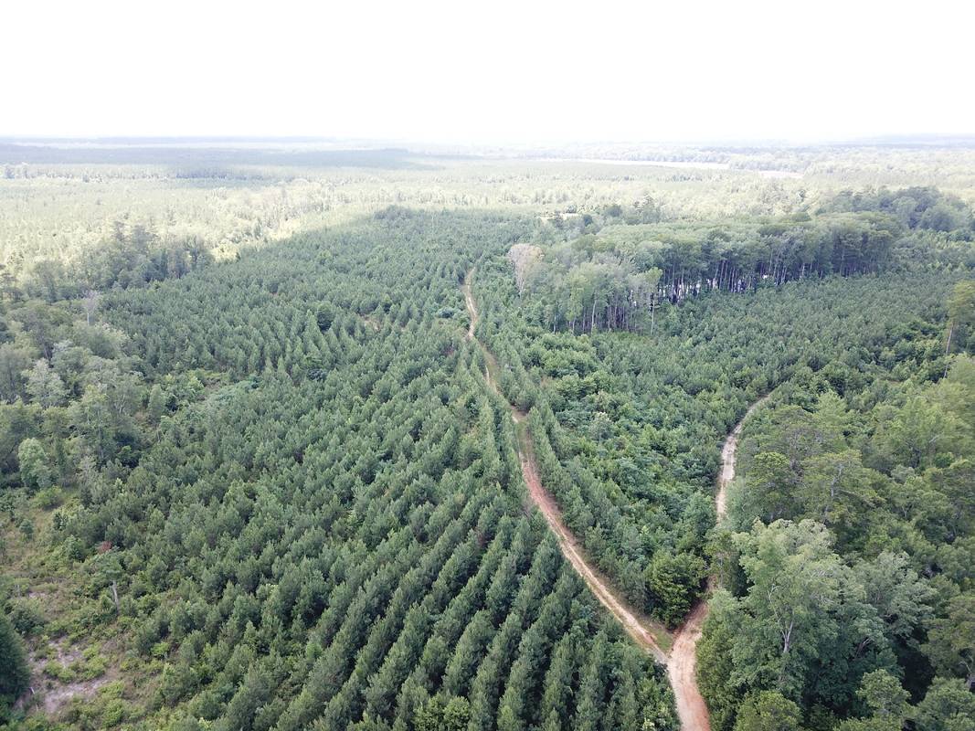 DJI_0008-1.jpg