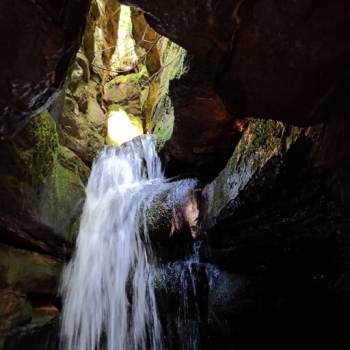 Price Reduced- 25ac-Jefferson Co.- Warrior Rec./Timber tract