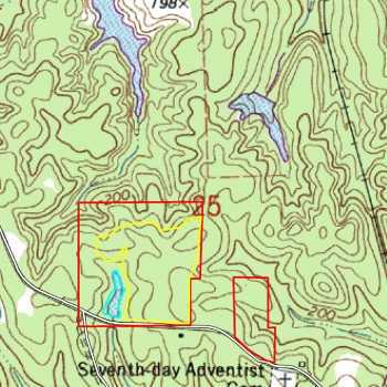 Silas Tract #9- 45 ac- Choctaw Co- AL