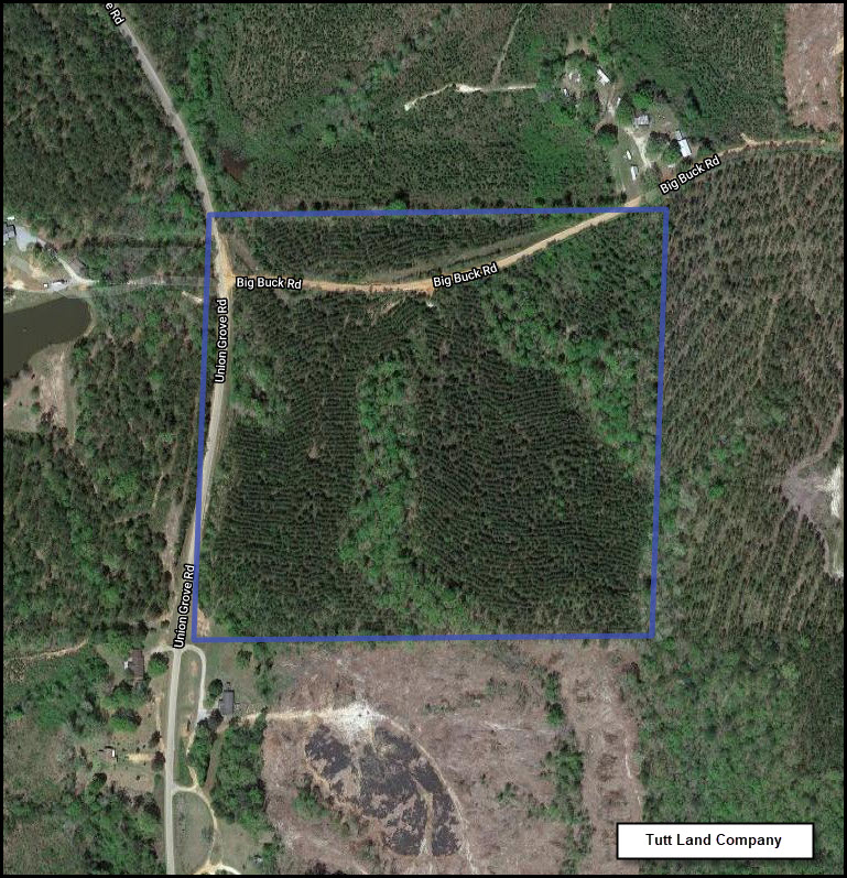 Goodwin-39 ac-Marengo Co-Union Grove Road Tract.jpg