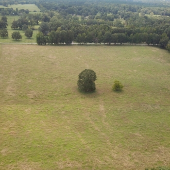 55 Ac - Hale County - Millbrook Tract
