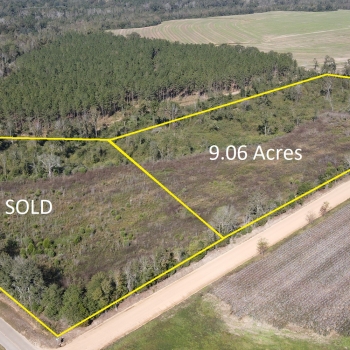 9 Ac - Houston County - Eudon Best Rd Parcel