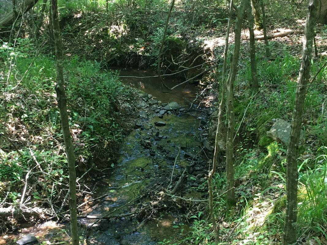 Springvilla Tract - 18 acre topo.jpg