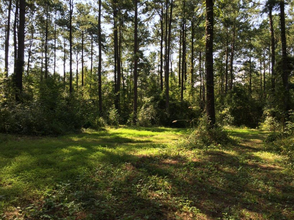 Dale County Property for Sale - Topographical Map on Property