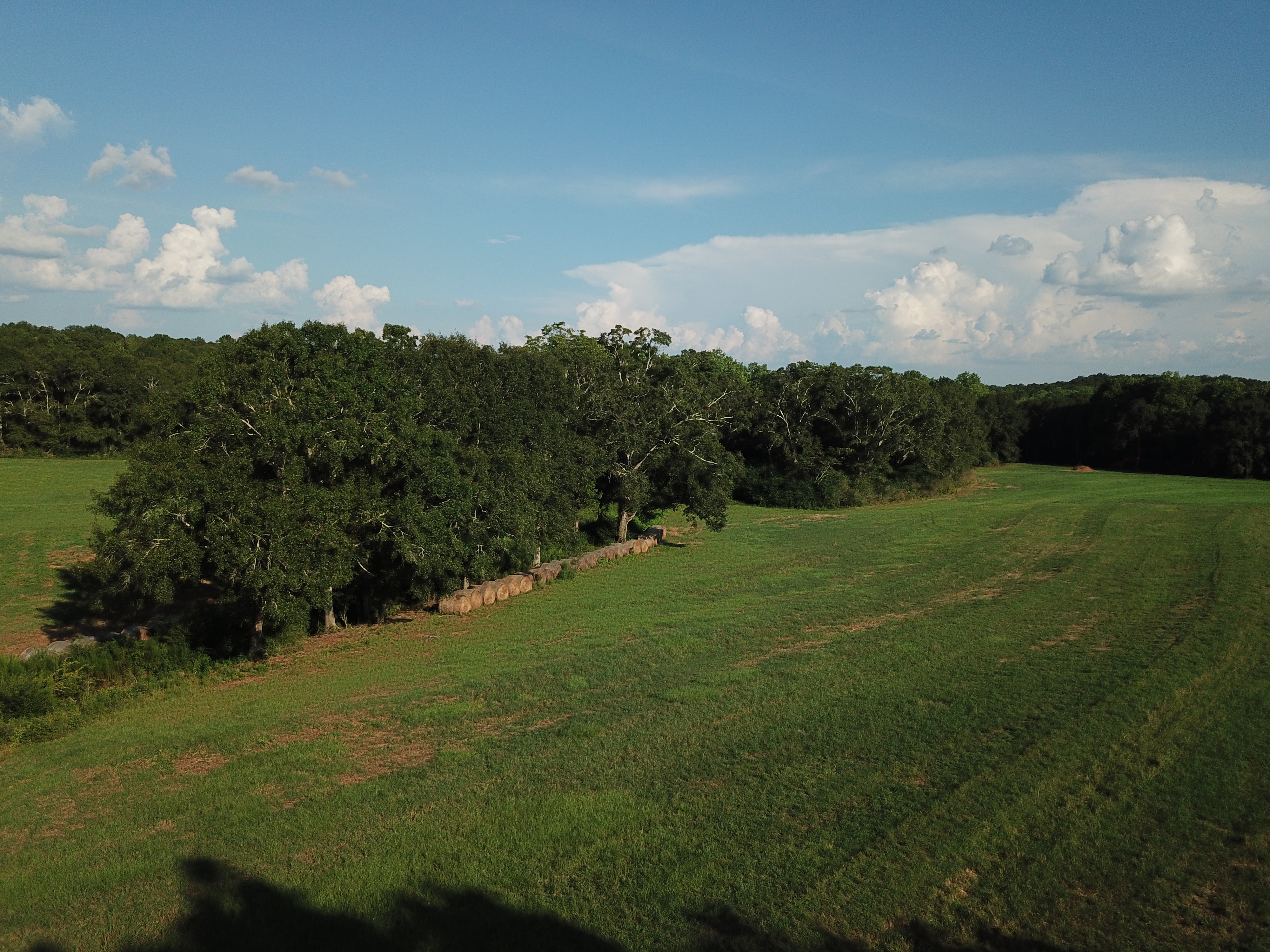 DJI_0515.JPG