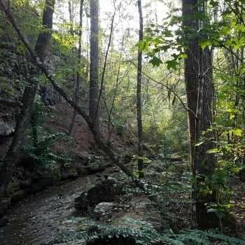 9.3 Ac-Blount-Bluff Creek Tract