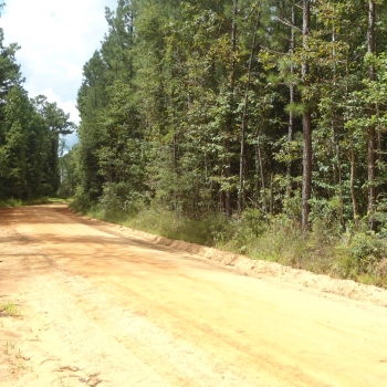 Souwilpa Road Tract- Choctaw Co., AL- 6.6 ac